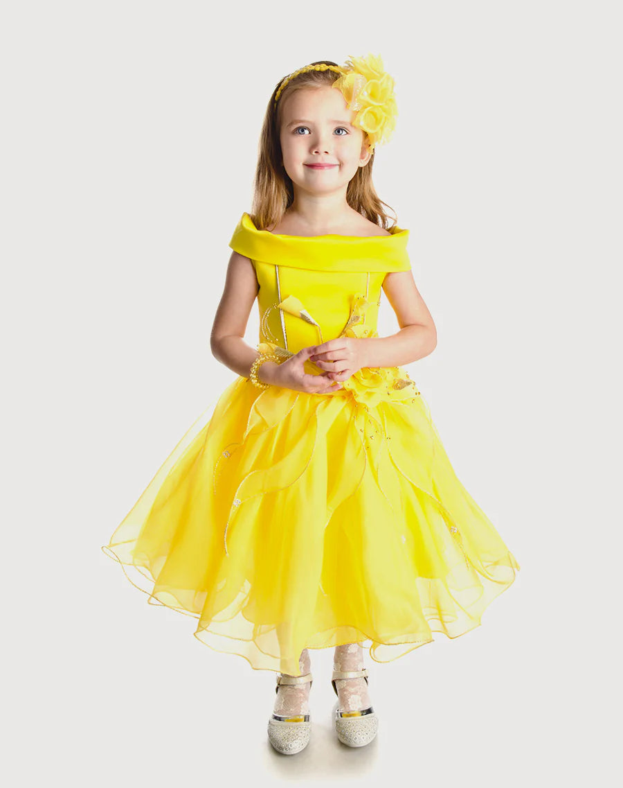 Princess Birthday Frock Dress